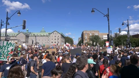 Climate Change Protest 60 fps Stock Footage 117738880