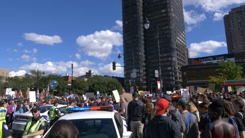 Climate Change Protest 60 fps Stock Footage 117747215