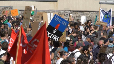 Climate Change Protest 60 fps Stock Footage 117809748