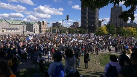 Climate Change Protest 60 fps Stock Footage 117811087