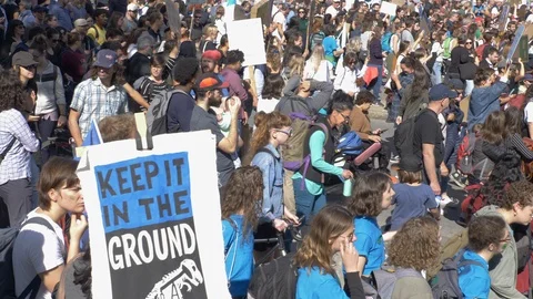 Climate Change Protest 60 fps Stock Footage 117819346