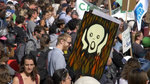 Climate Change Protest 60 fps Stock Footage 117820713