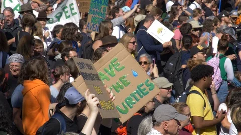 Climate Change Protest 60 fps Stock Footage 117820822
