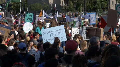 Climate Change Protest 60 fps Stock Footage 117821043