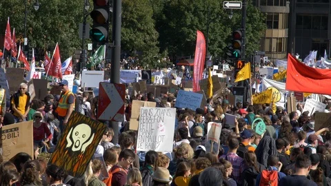 Climate Change Protest 60 fps Stock Footage 117863315