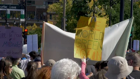 Climate Change Protest 60 fps Stock Footage 117864001