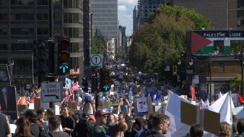 Climate Change Protest 60 fps Stock Footage 117864423
