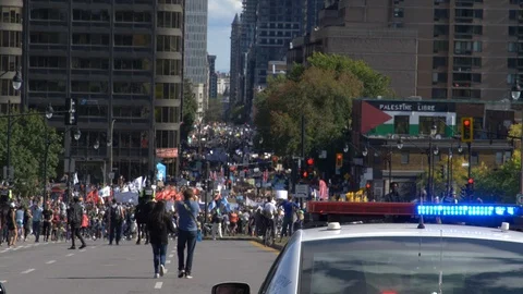 Climate Change Protest 60 fps Stock Footage 117867774