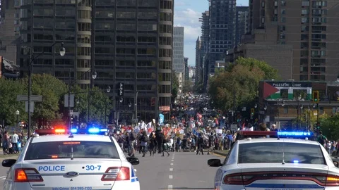 Climate Change Protest 60 fps Stock Footage 117868394