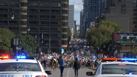 Climate Change Protest 60 fps Stock Footage 117868616