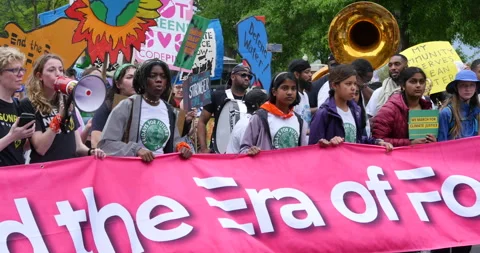 Climate Change Protest in DC Video stock 242039998