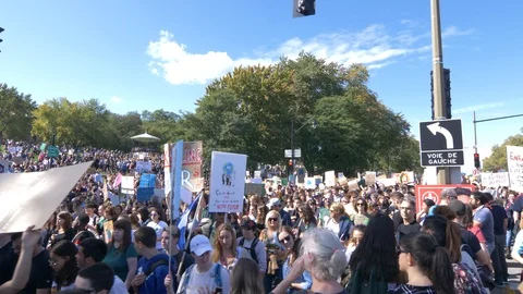 Climate Change Protest Stock Footage 117672401