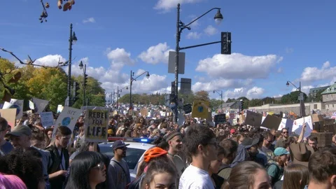 Climate Change Protest Stock Footage 117734224