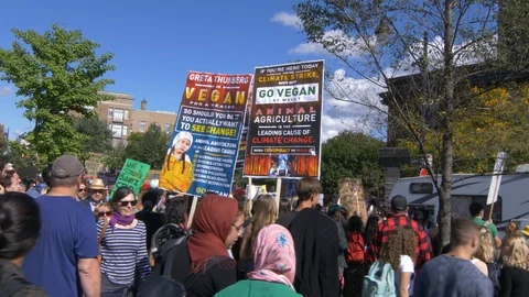 Climate Change Protest Stock Footage 117734845