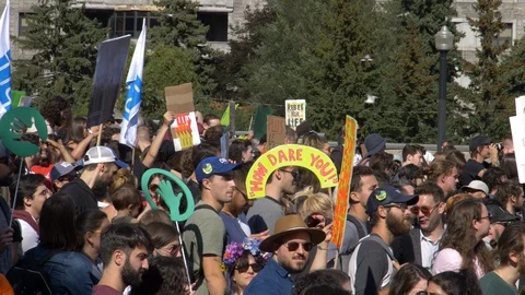 Climate Change Protest Stock Footage 117820274