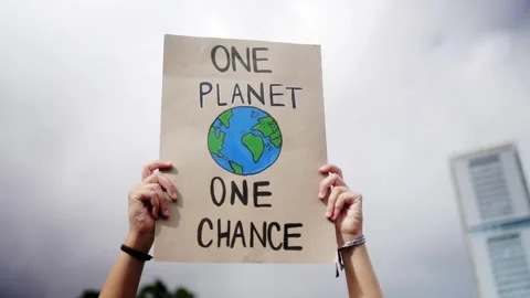 Climate change protest. People fighting for environmental and global warming   Stock Footage 254488111
