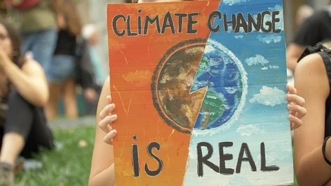 Climate Change is Real. Poster at Global Climate Strike Stock Footage 116796036