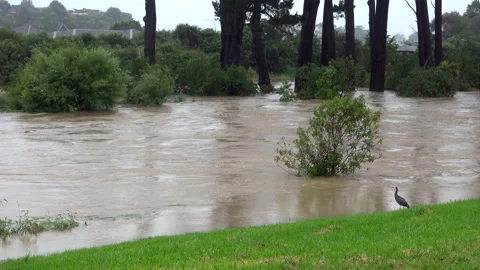 Climate change river flooding New Zealand Stock Footage 170229443