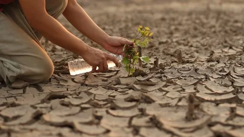 Climate change solution Video stock 237152516