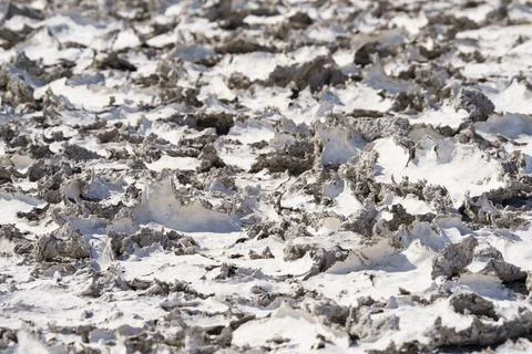 Climate Change, Structure Of Dried Mud Pattern In A Salt Lake Stock Photos