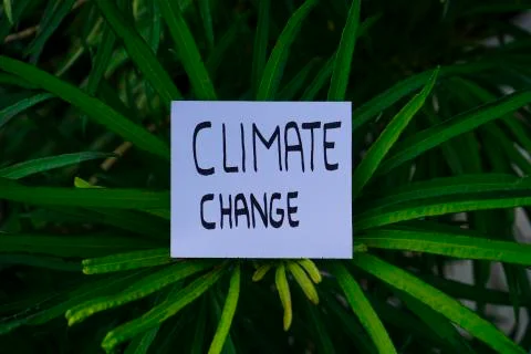 Climate change text concept. Ready Text for environment earth day concept Stock Photos