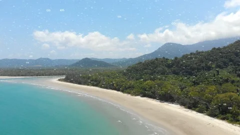 Climate change warming forest plants taking carbon dioxide (CO2) photosynthesis Stock Footage 150912487