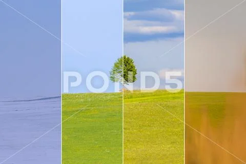 Climate change winter spring summer fall over the year blocks. Nature weather Stock Photos