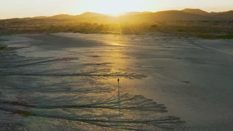 Climate change.High aerial view of a devastated farmer walking across dry dam Stock Footage 155728259
