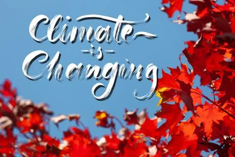 Climate is Changing - cursive brush lettering on blue sky and red maple leafs Stock Illustration