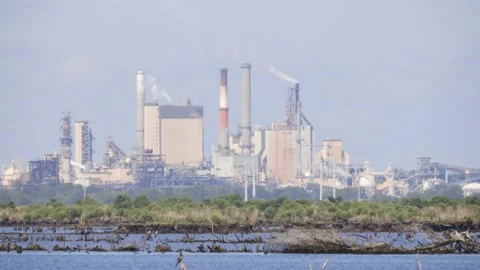 Climate Changing Factory Pollutes Smog over Flooded Swamp Stock Footage 201340587
