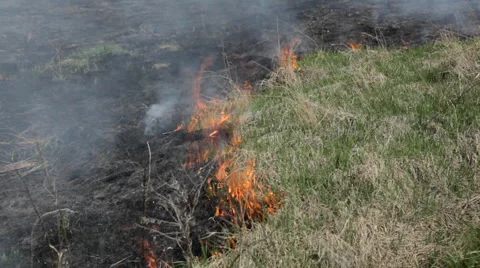Climate Disaster, Dangerous Fire In Dry Agriculture Field, Hot Summer, No Rain Stock Footage 4202281