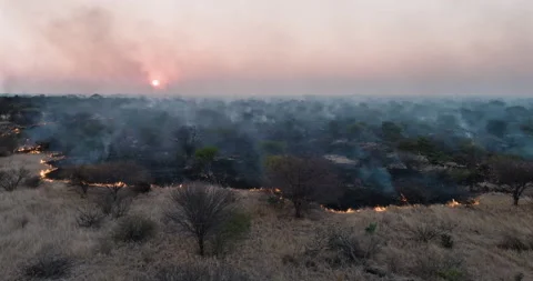 Climate emergency.Climate change. Global warming. aerial grass fire. drought Stock Footage 164095660