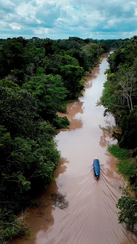 Climate &amp; Environment  - Amazon River Drone Shot with Rainforest Nature 動画素材 316402514