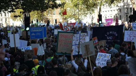 Climate Marching Protesters crowd passing by Red Traffic Lights on the road Stock Footage 116392310