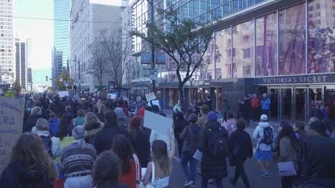 Climate Protest March in Canada Stock Footage 139249591