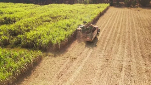 Climate Smart Agriculture CSA transform agribusiness challenge for ESG SDGs.. 스톡 동영상 312775117