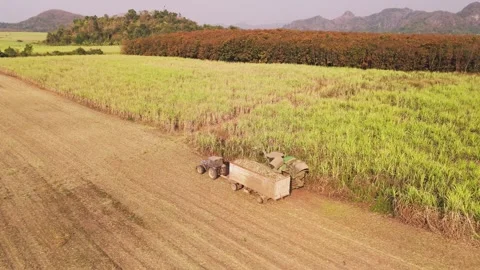 Climate Smart Agriculture CSA transform agribusiness challenge for ESG SDGs.. Stock Footage 312775148