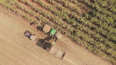 Climate Smart Agriculture CSA transform agribusiness challenge for ESG SDGs.. Video stock 312775149