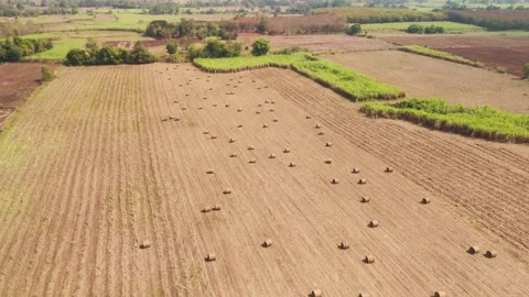 Climate Smart Agriculture CSA transform agribusiness challenge for ESG SDGs.. 스톡 동영상 321105486