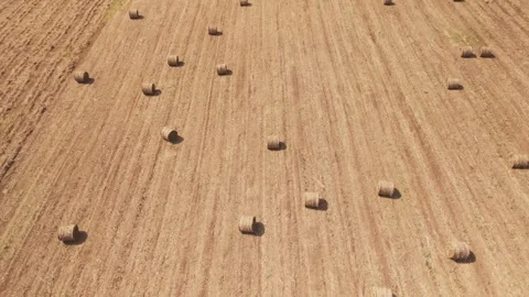 Climate Smart Agriculture CSA transform agribusiness challenge for ESG SDGs.. 库存影片 321105487