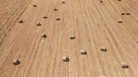 Climate Smart Agriculture CSA transform agribusiness challenge for ESG SDGs.. 库存影片 321105488