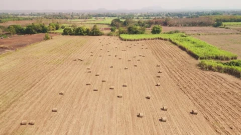 Climate Smart Agriculture CSA transform agribusiness challenge for ESG SDGs.. 库存影片 321105489