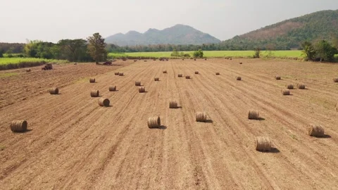 Climate Smart Agriculture CSA transform agribusiness challenge for ESG SDGs.. 库存影片 321105493