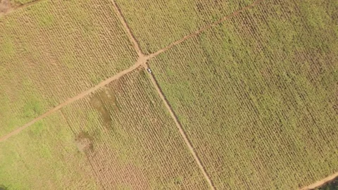 Climate Smart Agriculture CSA transform agribusiness challenge for ESG SDGs.. 库存影片 321106407