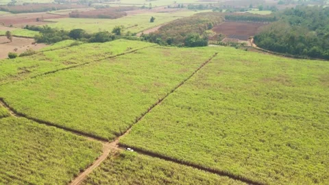 Climate Smart Agriculture CSA transform agribusiness challenge for ESG SDGs.. 库存影片 321106420