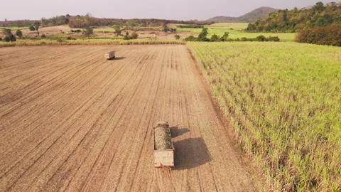 Climate Smart Agriculture CSA transform agribusiness challenge for ESG SDGs.. 库存影片 321109284