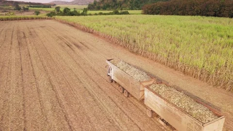 Climate Smart Agriculture CSA transform agribusiness challenge for ESG SDGs.. 库存影片 321109297