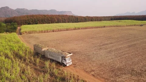 Climate Smart Agriculture CSA transform agribusiness challenge for ESG SDGs.. 库存影片 321109304