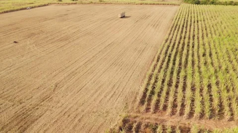 Climate Smart Agriculture CSA transform agribusiness challenge for ESG SDGs.. Stock Footage 337857719
