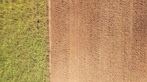 Climate Smart Agriculture CSA transform agribusiness challenge for ESG SDGs.. Stock Footage 337857721